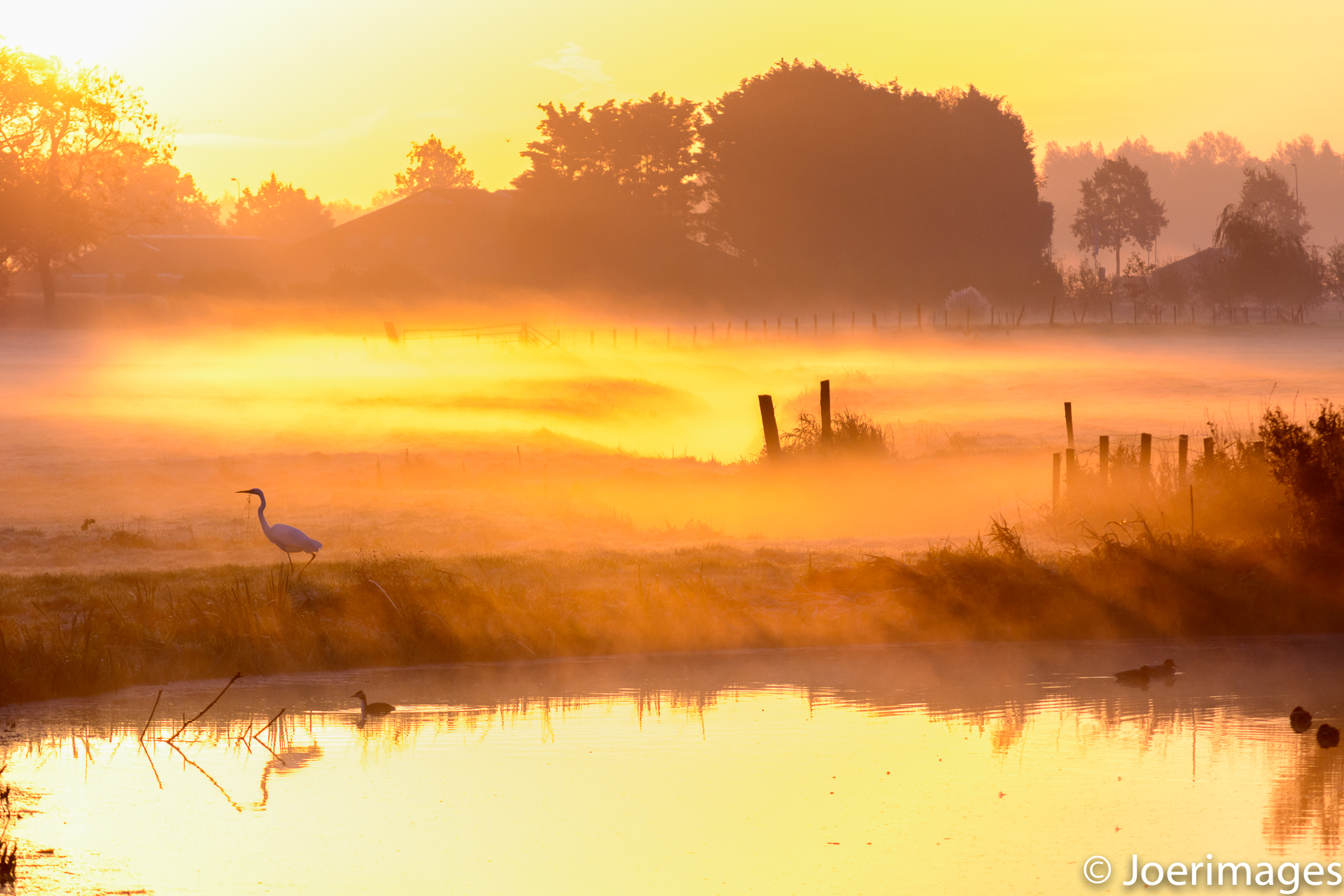 misty-morning-joerimages